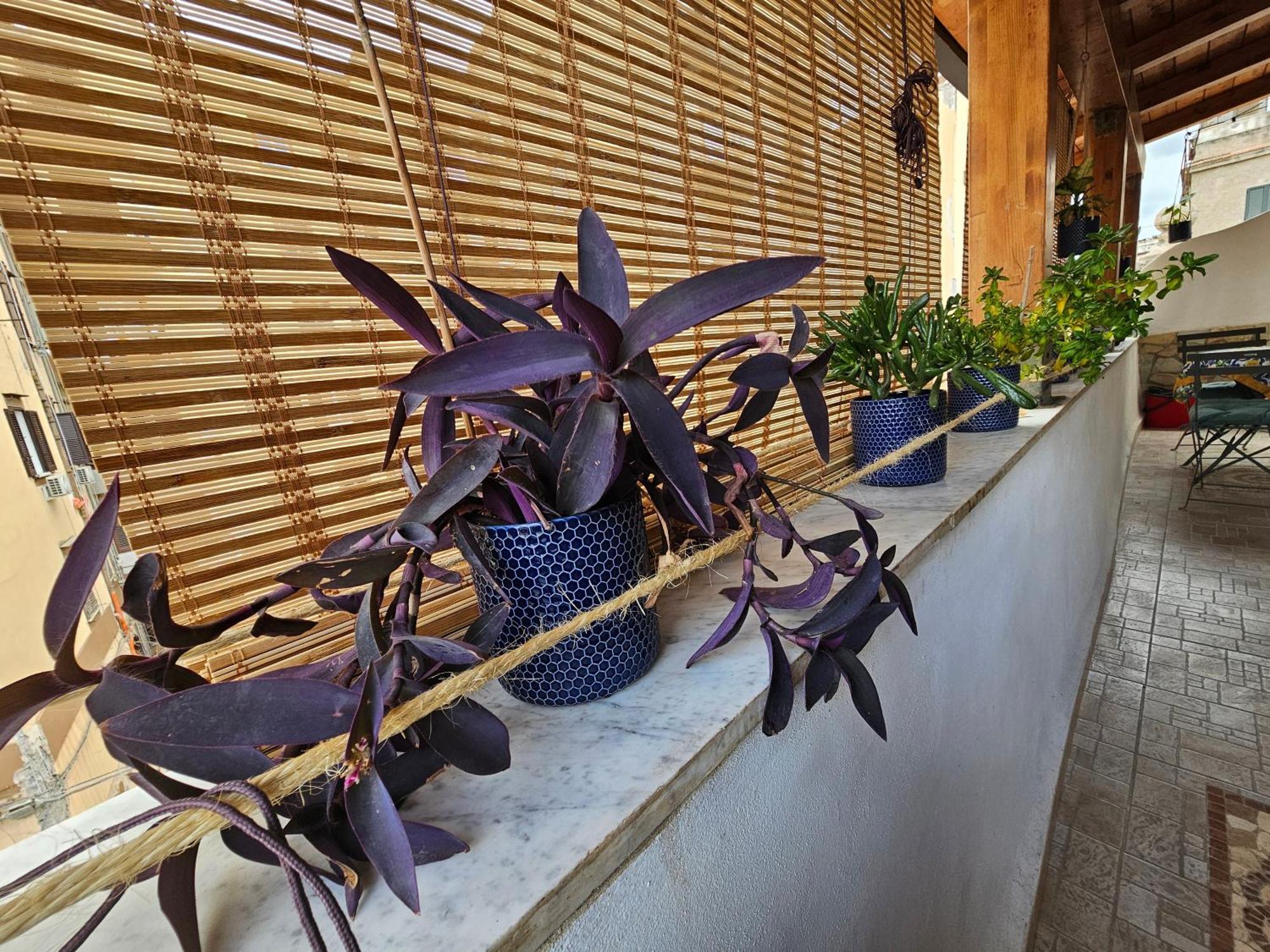 Terrazza Ballaro Palermo Ngoại thất bức ảnh